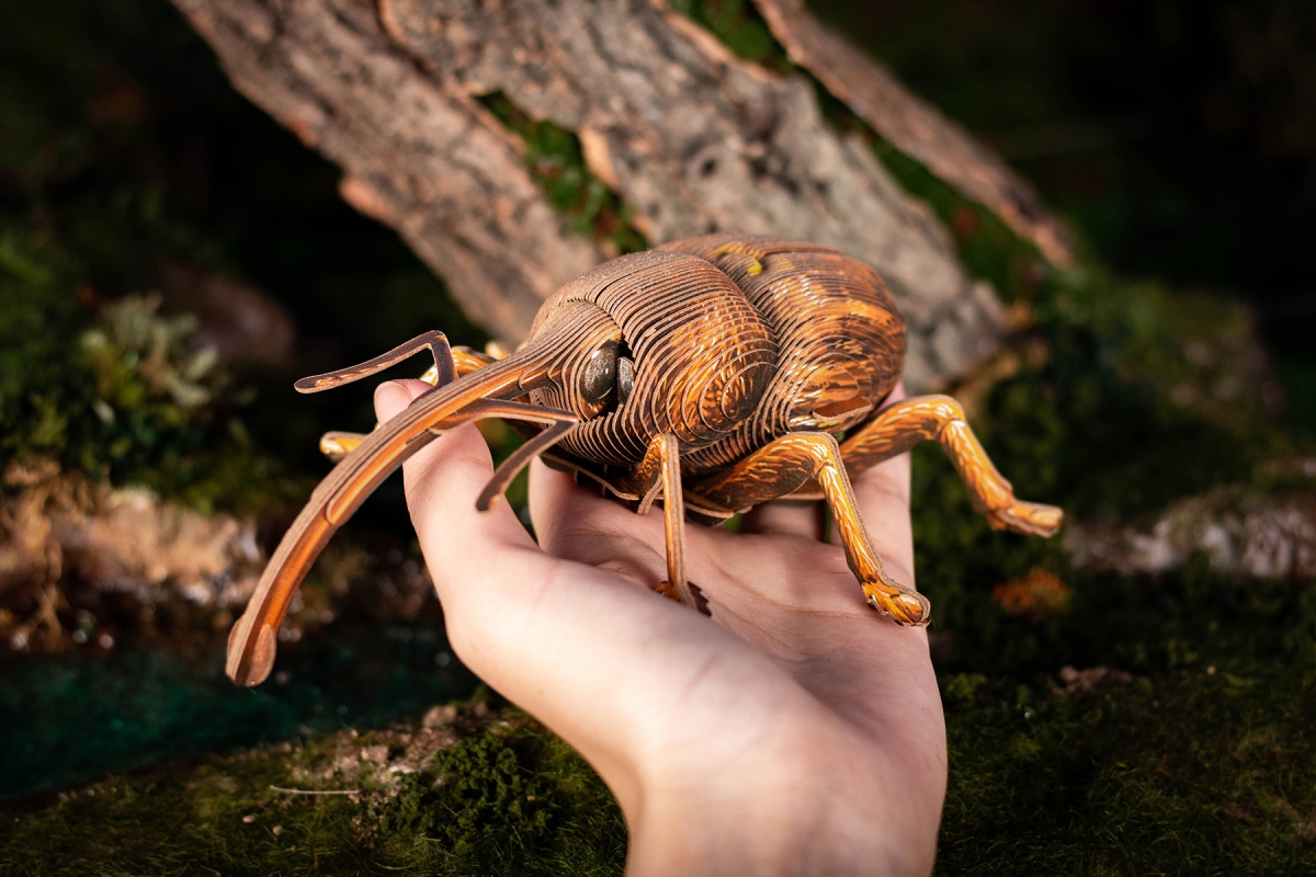 Weevil 3D Puzzle Toy - Multicolor - Age 5+ - Engaging Educational Play