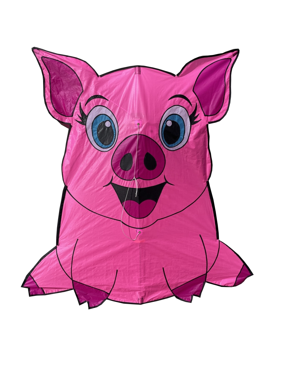 SKK10094 Pig Kite Model
