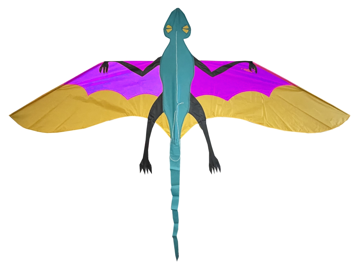 SKK10055 Joel Scholz Dimorphodon Kite