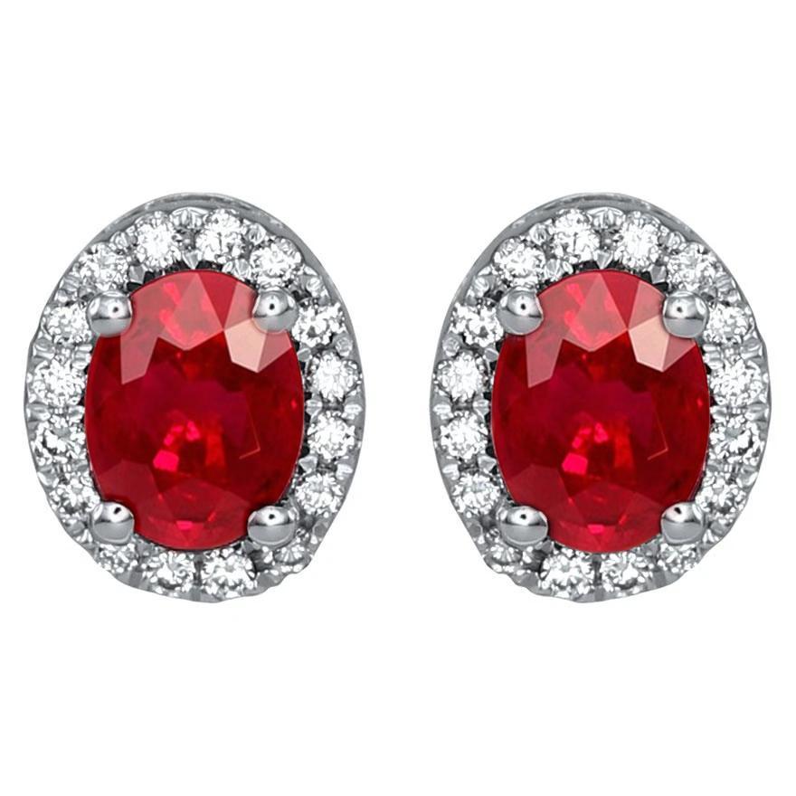 Oval Ruby & Diamonds 6 CT Lady Stud Earrings, 14K Gold