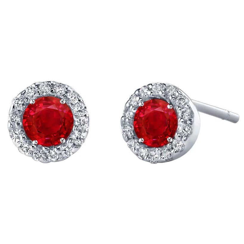 Picture of Harry Chad Enterprises 51896 5.28 CT Ruby with Diamond Halo Stud Earring&#44; 14K White Gold