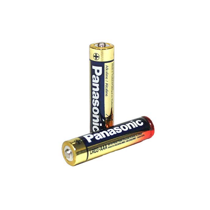 WS-BAT010-2 AAA Alkaline Batteries - 2 Count