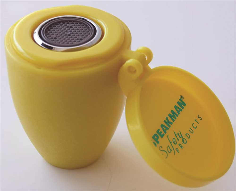 SPEAKMAN COMPANY