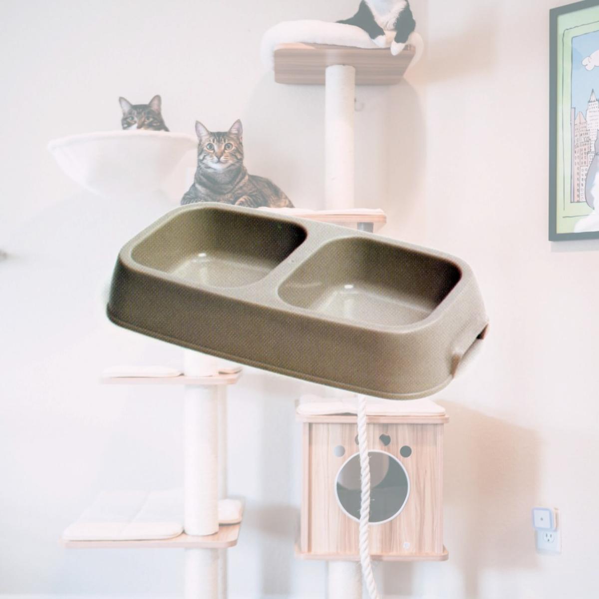 Picture of Boss Pet Products 171302136 00213H Plastic Double Diner Pet Dish, Large
