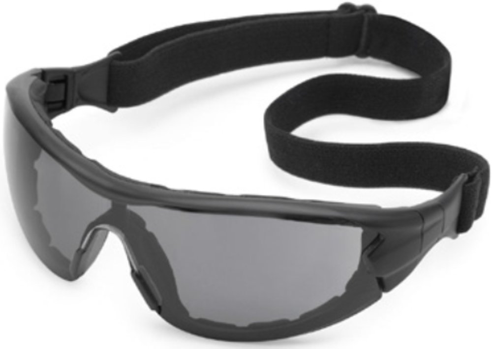 Picture of Gateway Safety 280310152 Black & Gray Fx3 Anti-Fog Swap Safety Glasses & Goggle with Foam