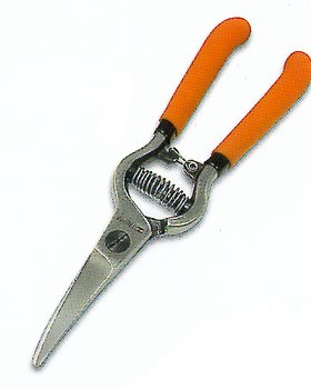 880115548 31554 T24 Pruning Shear