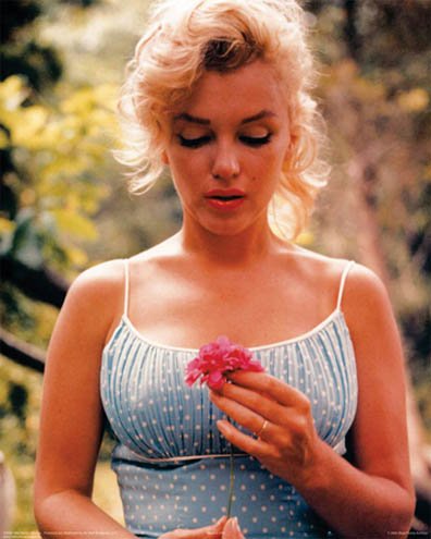 1994-08x10-CE 8 x 10 in. Marilyn Monroe Flower Celebrity Poster Print by Sam Shaw