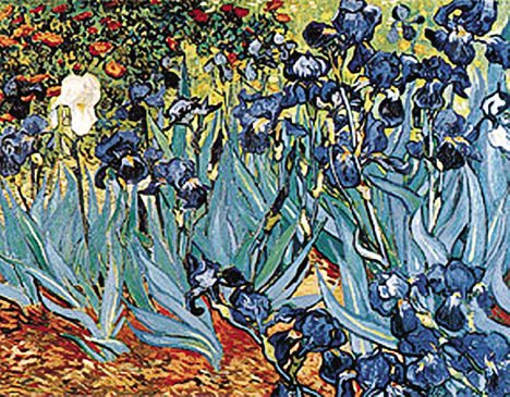 Picture of Hot Stuff 2075-11x14-GC 11 x 14 in. Irises Poster Print by Van Gogh