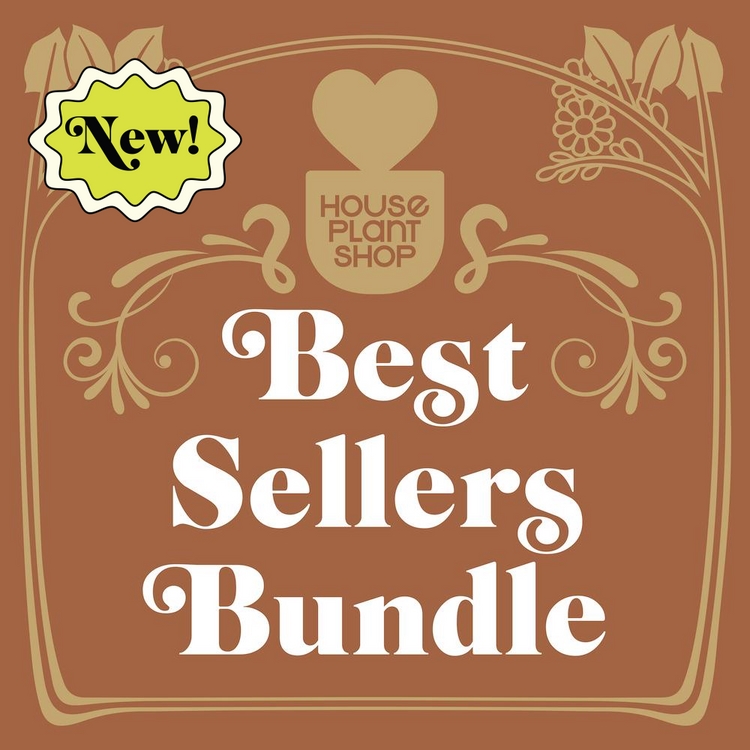 BUNDLE-BEST.SELLERS-3IN 3 in. Best Selling Bundle Plant