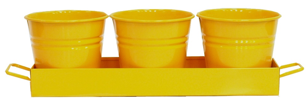 Triple Planter with Tray, Saffron