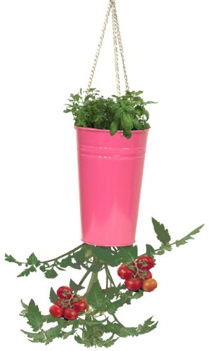 Enameled Galvanized Upsidedown Tomato Pepper Hanging Planter, HotPink