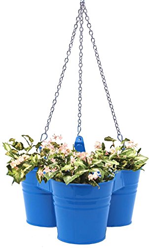 8118E B Enameled Galvanized Hanging 3 Planter Unit for 6.5 in. Plants, Blue