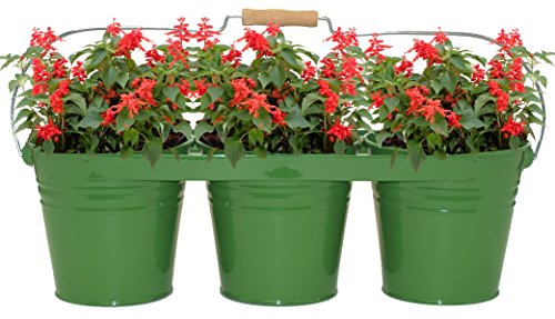 Enameled Galvanized Triple Planter with Wood Handle for 6.5 in. Pots, Sage