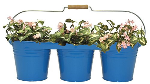 Enameled Galvanized Triple Planter with Wood Handle for 6.5 in. Pots, Blue