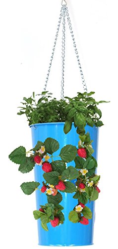 7 in. x 12 in. Enameled Galvanized Hanging Strawberry, Floral Planter - Blue