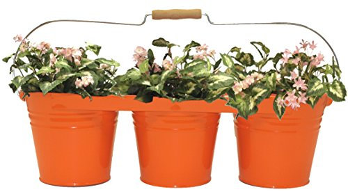 Enameled Galvanized Triple Planter with Wood Handle for 6.5 in. Pots, Tangerine
