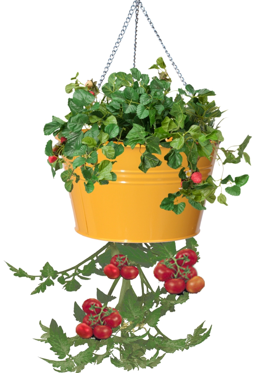 Enameled Galvanized Steel Strawberry, Herb & Floral Hanging Planter, Saffron