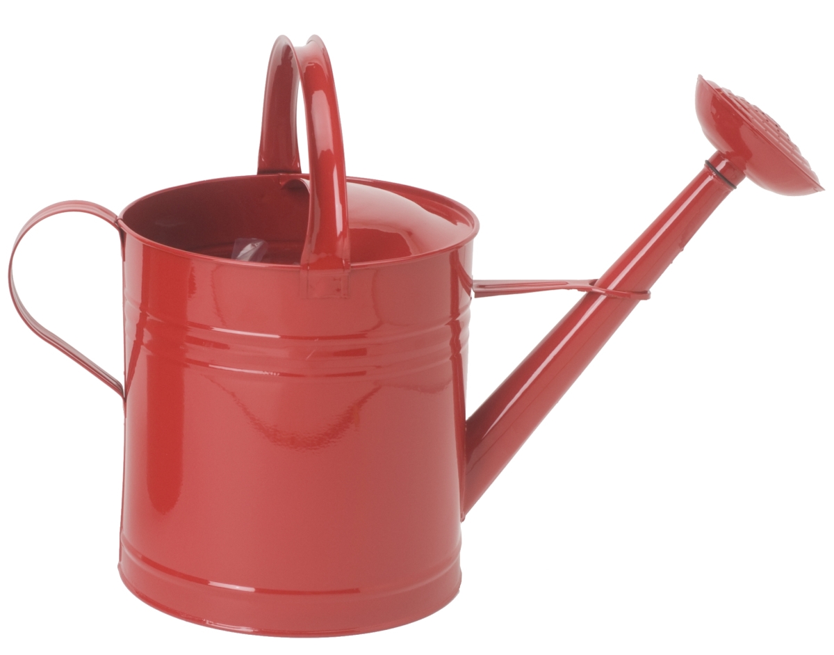 Enameled Galvanized Steel watering can 2.5 Gal.