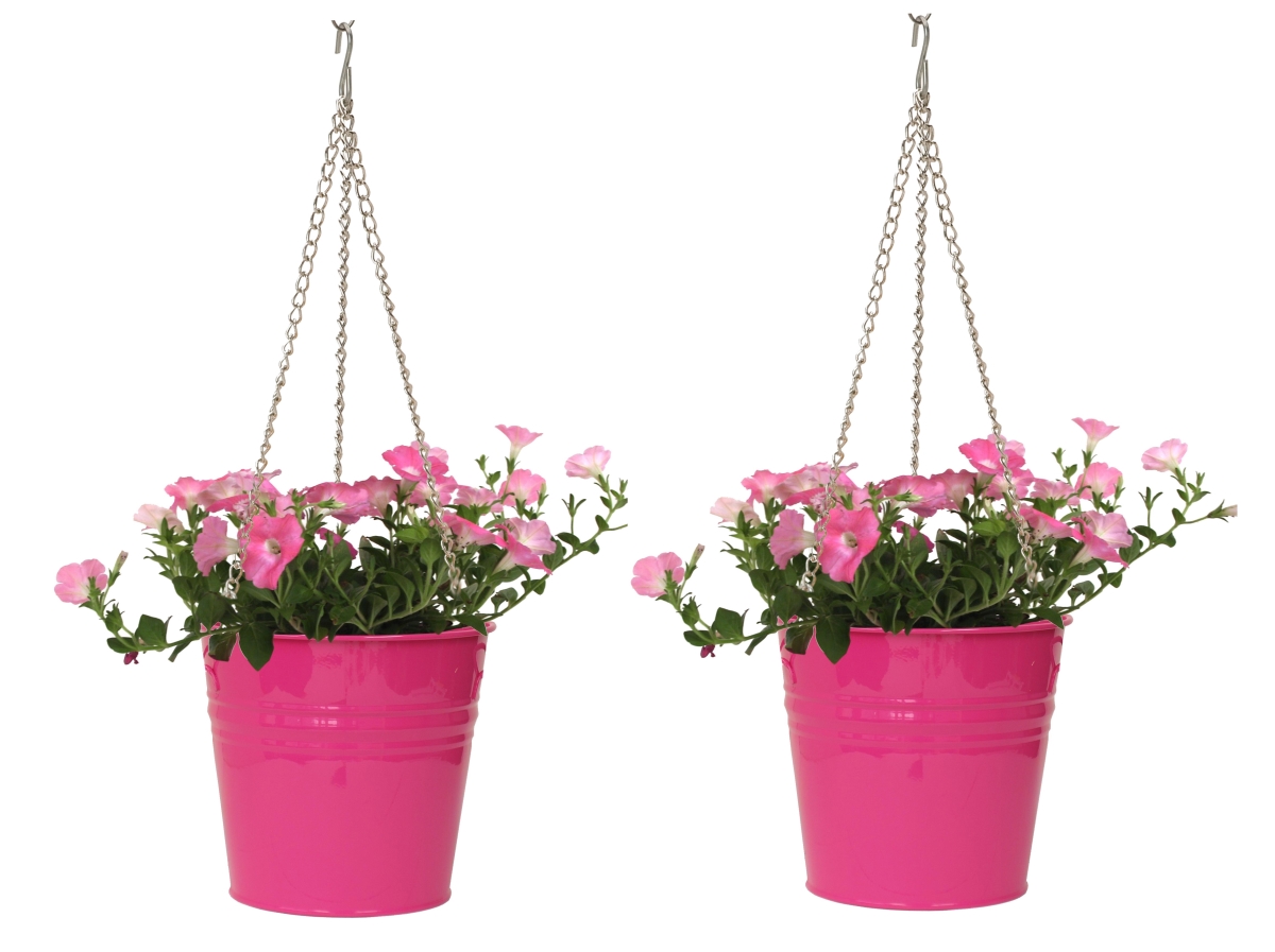 S/2 Enameled Galvanized Steel Hanging Planter