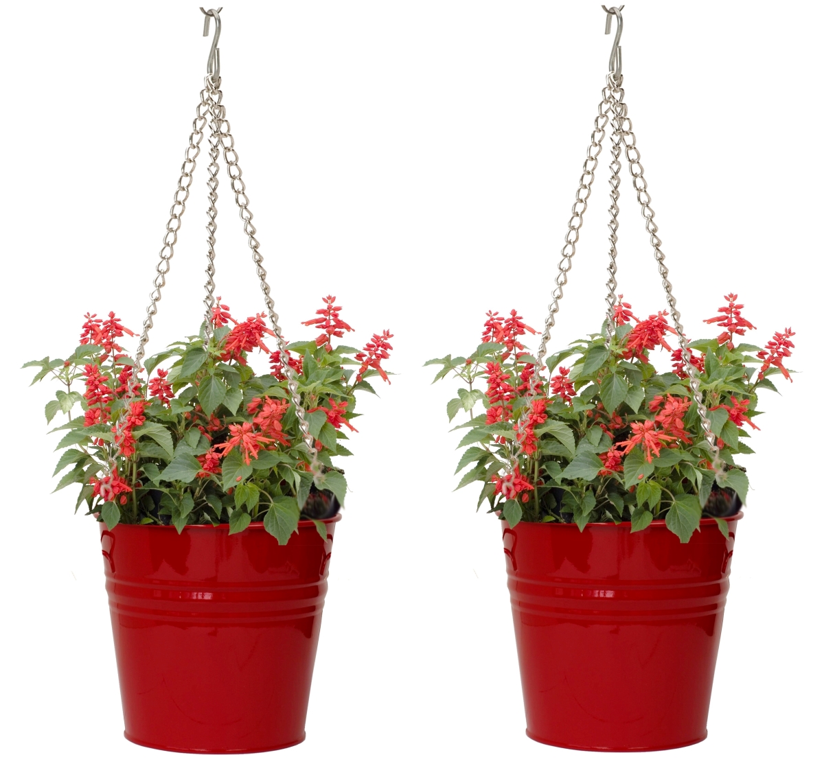 S/2 Enameled Galvanized Steel Hanging Planter