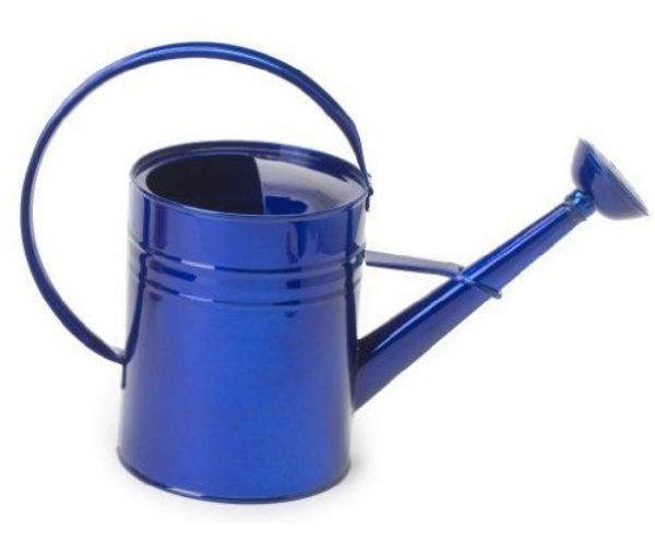 1 gal Enameled Galvanized Steel Watering Can with Removable Rosette, Glazed Blue