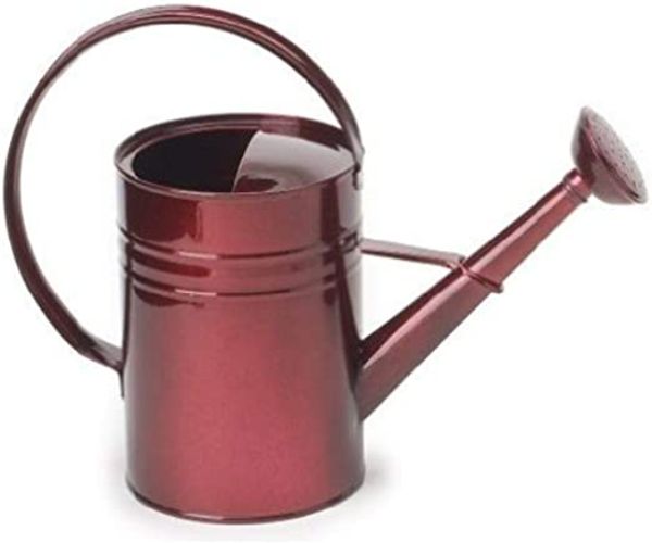 1 gal Enameled Galvanized Steel Watering Can with Removable Rosette, Glazed Apple