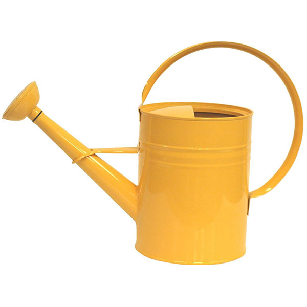 1 gal Enameled Galvanized Steel Watering Can with Removable Rosette, Saffron