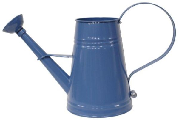 1 gal Enameled Galvanized Steel Watering Can with Removable Rosette, Blue