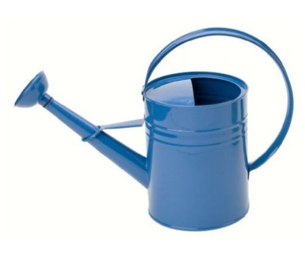 1 gal Enameled Galvanized Steel Watering Can with Removable Rosette, Blue