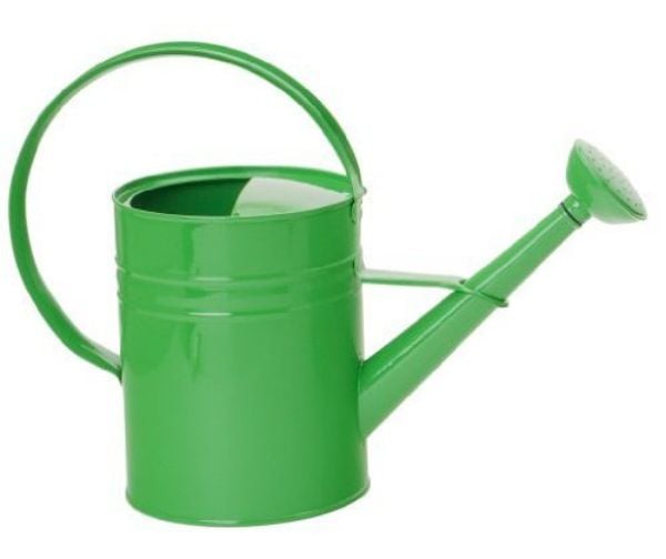 8582E AG 1 gal Enameled Galvanized Steel Watering Can with Removable Rosette, Apple Green