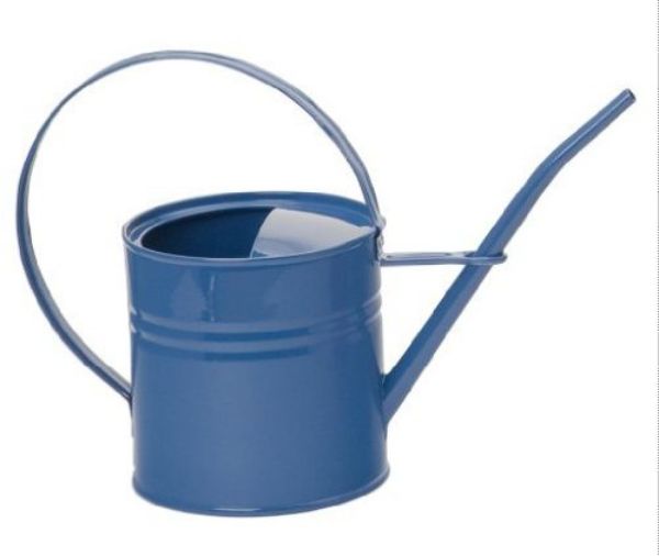 1.5 qt. Enameled Galvanized Steel Watering Can, Blue