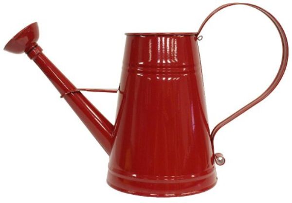 1 gal Enameled Galvanized Steel Watering Can with Removable Rosette, Red