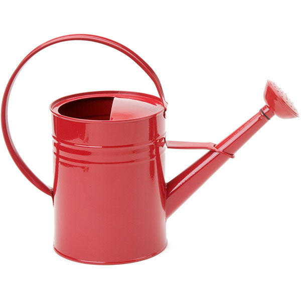 1 gal Enameled Galvanized Steel Watering Can with Removable Rosette, Red