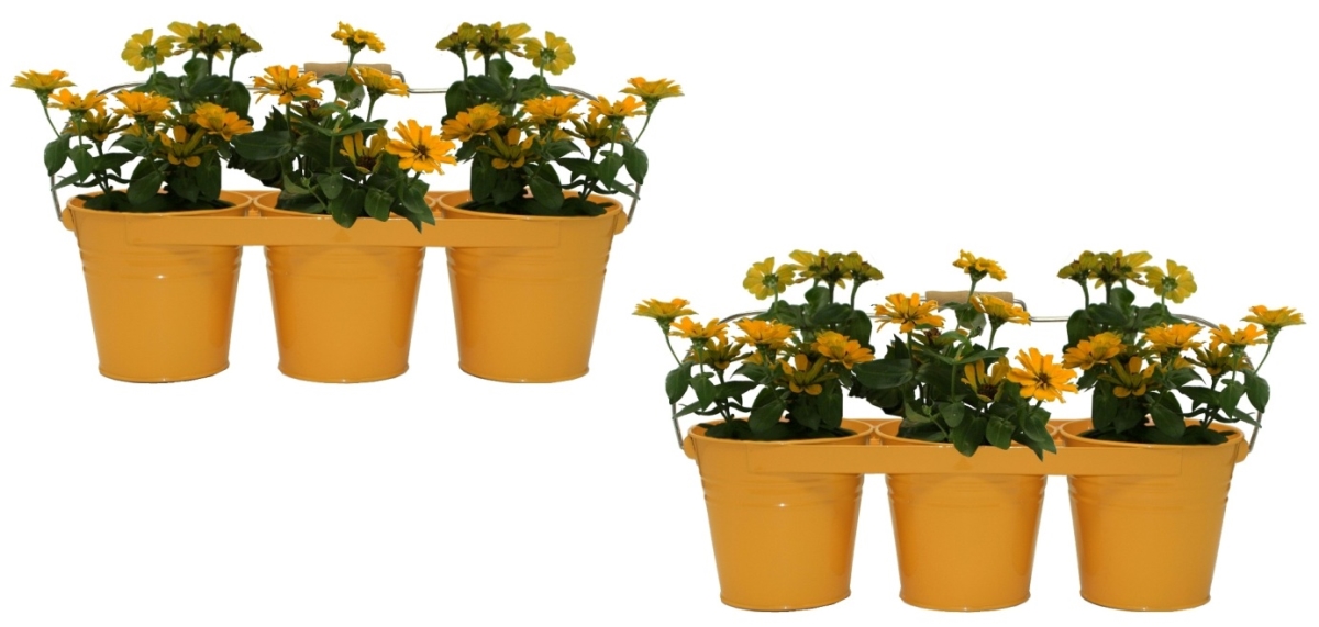 8333E SAFF S/2 8333E SAFF S/2 Enameled Galvanized Triple Planter with Wood Handle for 6.5 in. Pots, Saffron Set of 2
