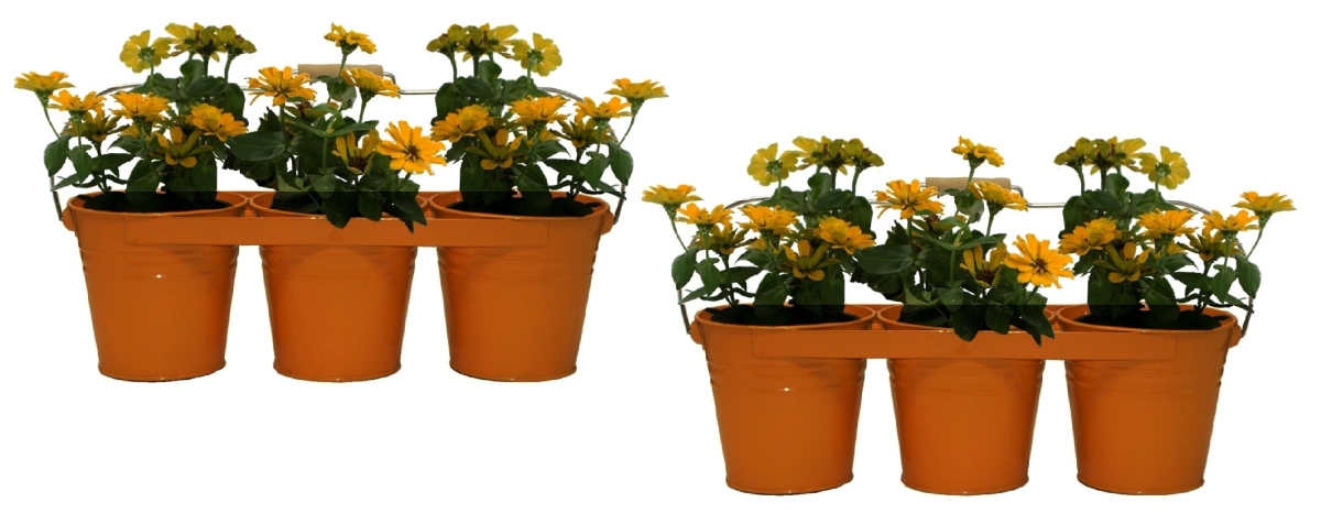8333E TA S/2 8333E TA S/2 Enameled Galvanized Triple Planter with Wood Handle for 6.5 in. Pots, Tangerine Set of 2