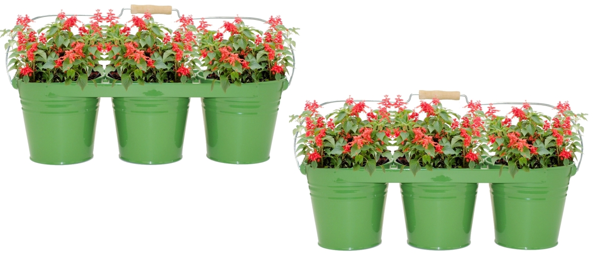 Enameled Galvanized Triple planter with wood handle for 6.5' plants Set of Two, Apple Green