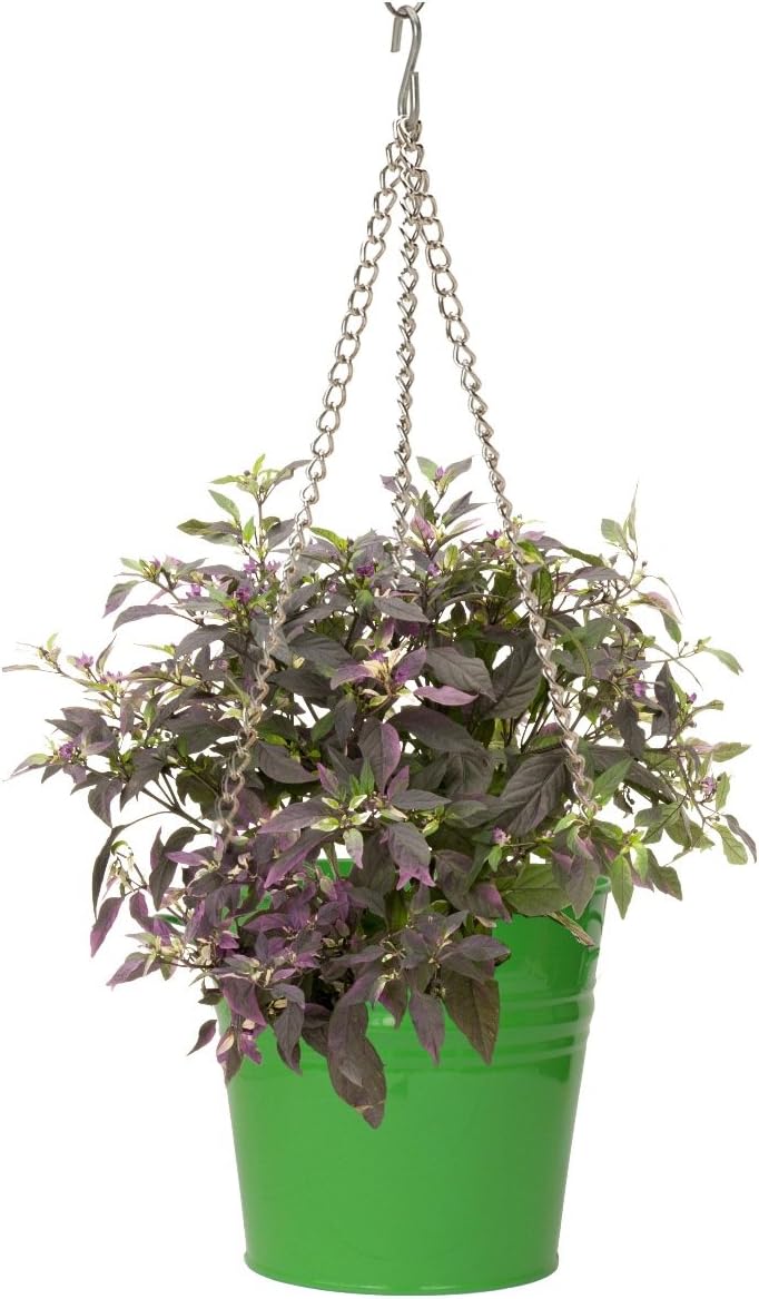6151E AG S-2 Enameled Hanging Planter - Apple Green - Set of 2 - Rustproof Steel