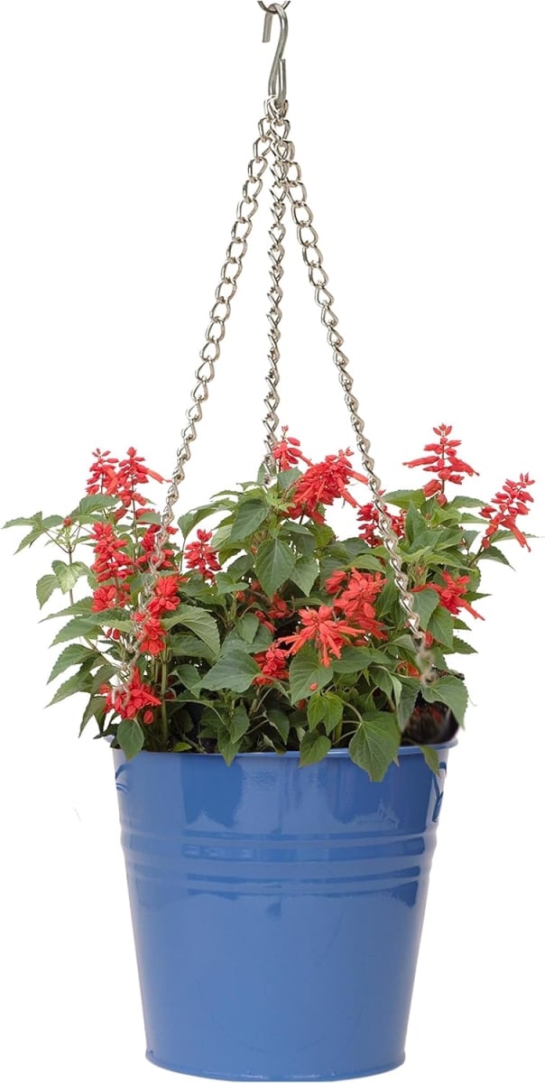 6151E B S-2 Enameled Steel Hanging Planter - Blue - Set of 2 - Rustproof