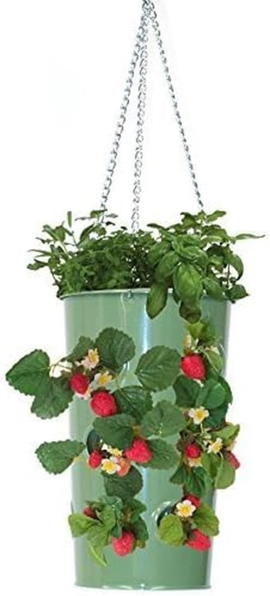 8395E AG S-2 7 x 12 in. Enameled Galvanized Steel Strawberry & Floral Hanging Planter, Apple Green - Set of 2