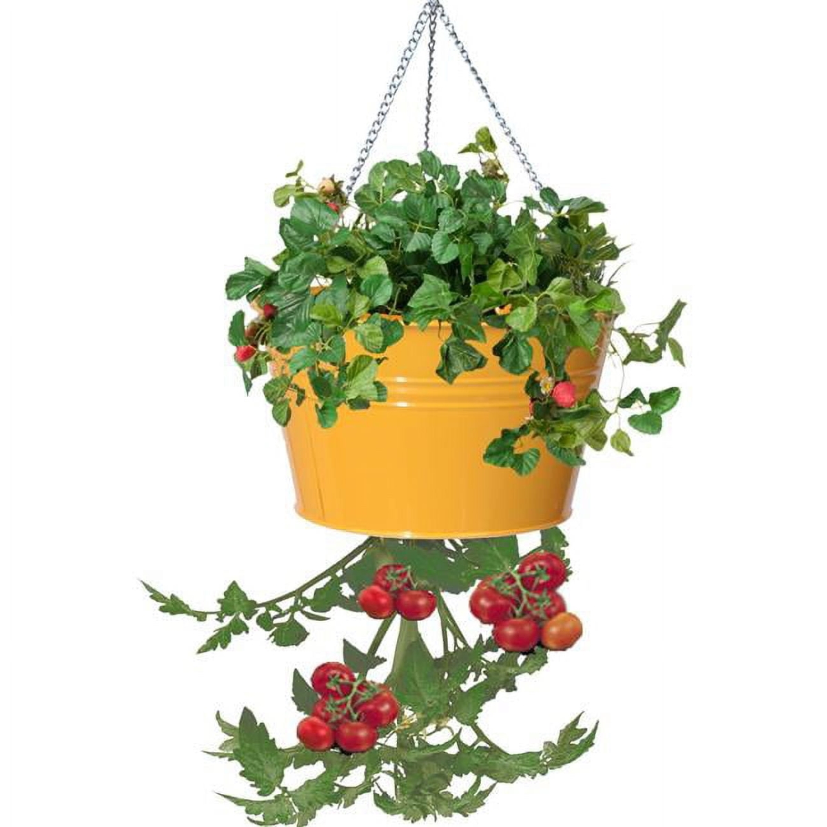 8399E SAFF S-2 7 x 7 x 12 in. Enameled Galvanized Steel Upside-down Hanging Planter, Saffron Yellow - Set of 2
