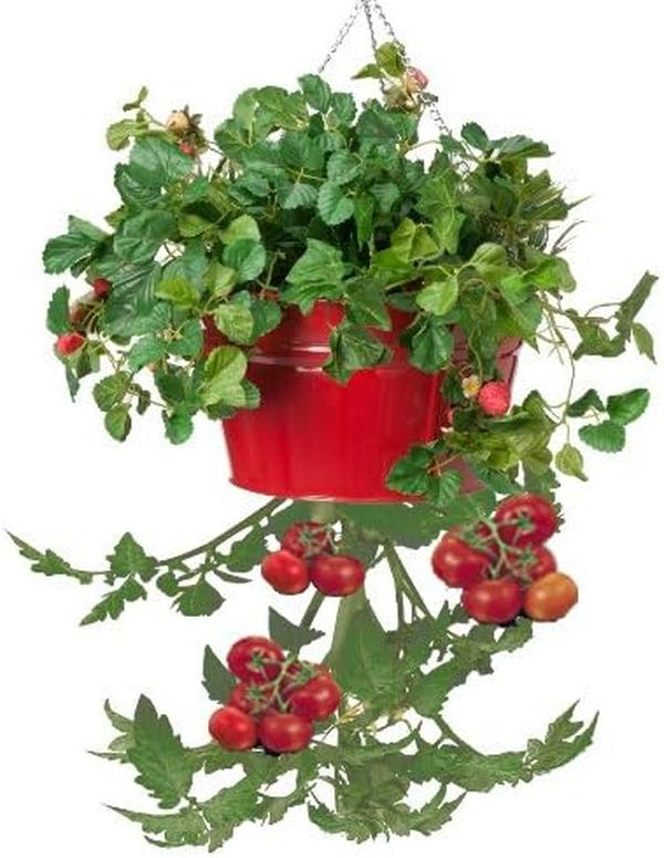 8399E XR Hanging Planter - Red - Set of 2 - Durable Galvanized Steel