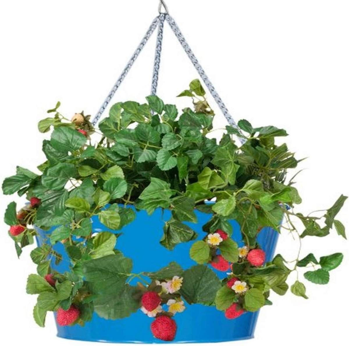 8494E B 14 x 8 in. Enameled Galvanized Strawberry Floral Hanging Planter, Blue