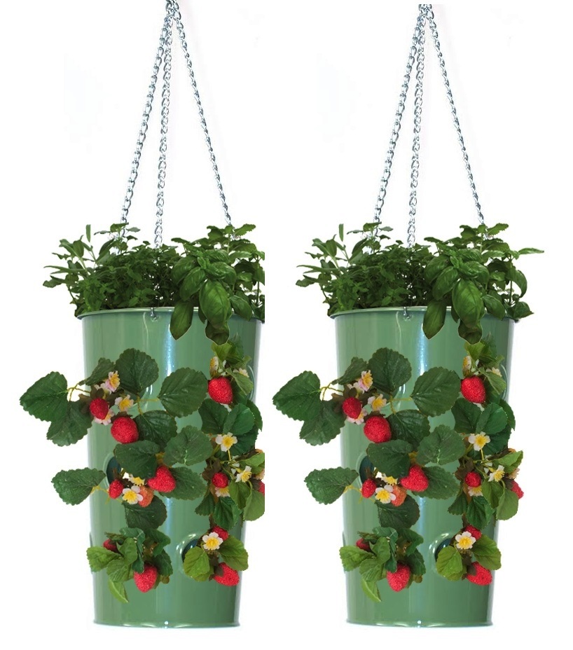 8395E AG S-2 7 x 12 in. Enameled Galvanized Steel Strawberry, Floral Hanging Planter, Apple Green - Set of 2