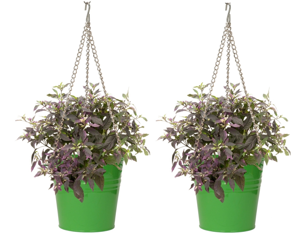 6151E AG S-2 9 x 9 in. Enameled Galvanized Steel Hanging Planter, Apple Green - Set of 2