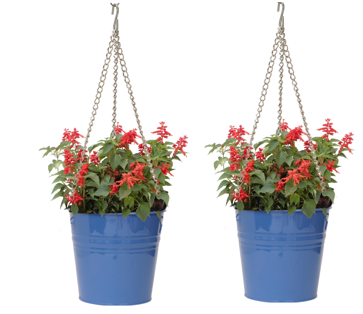 6151E B S-2 9 x 9 in. Enameled Galvanized Steel Hanging Planter, Blue - Set of 2