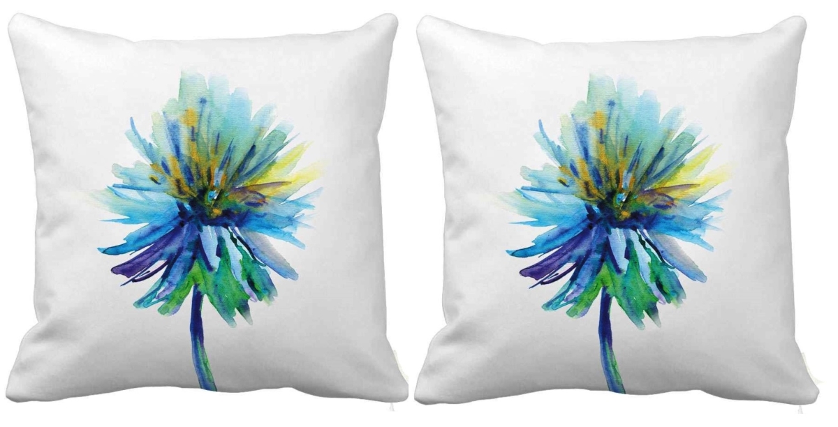RH-410-C S/2 RH-410-C S/2 18 X 18 inch. Square Indoor & Outdoor Throw Pillow Cover, Double sided. Set of Two.
