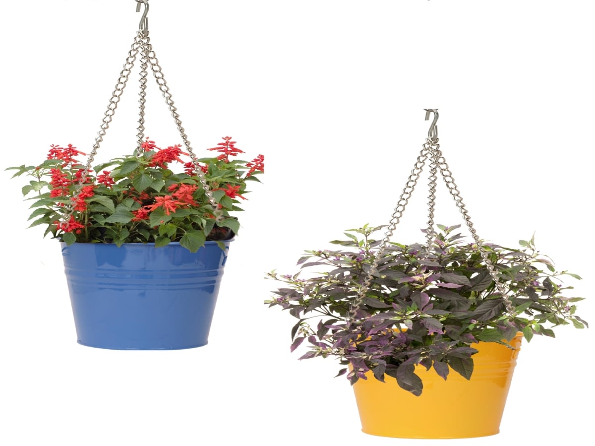8370E B-SAFF S/2 Enameled Galvanized Steel Hanging Planter Set of Two