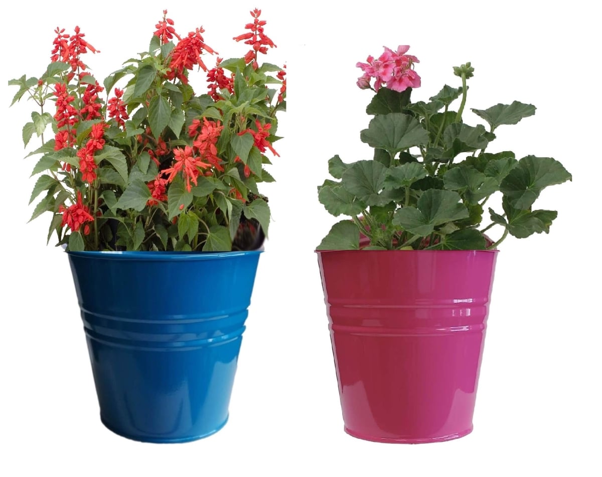 8136E B-HPK S/2 Enameled Galvanized Steel Planter for 6.5' Plants. Set of Two