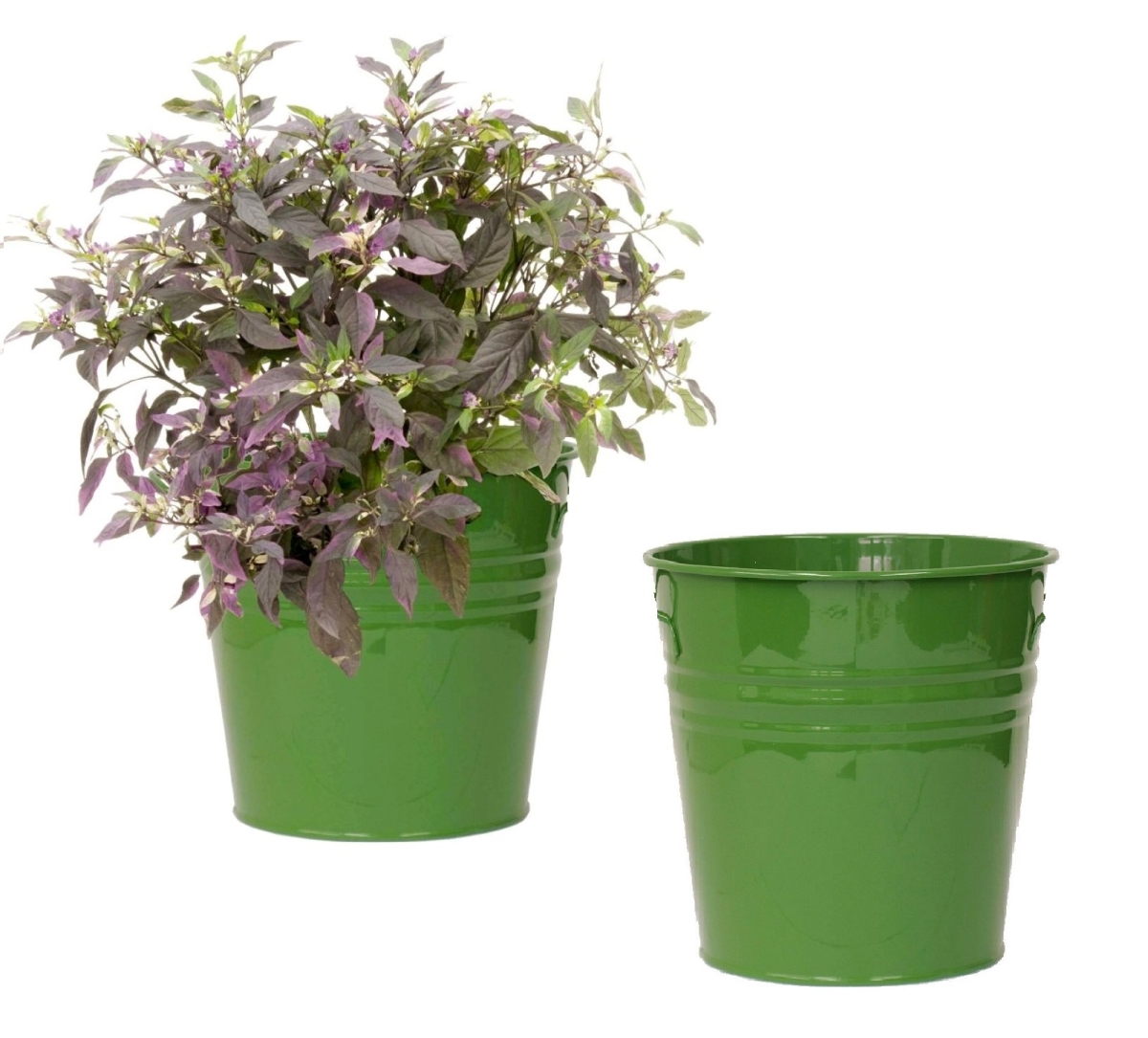 8136E.SA S/2 Enameled Galvanized Steel Planter for 6.5' Plants. Set of Two