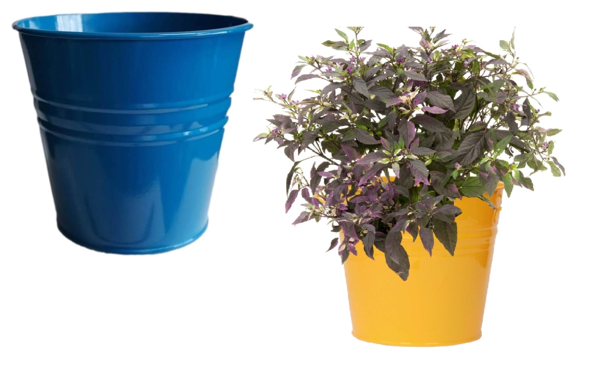 8136E B-SAFF S/2 Enameled Galvanized Steel Planter for 6.5' Plants. Set of Two